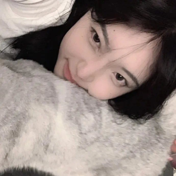 特禽鲨龙